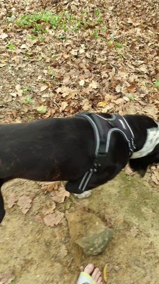 TikTok video thumbnail by rhumman0