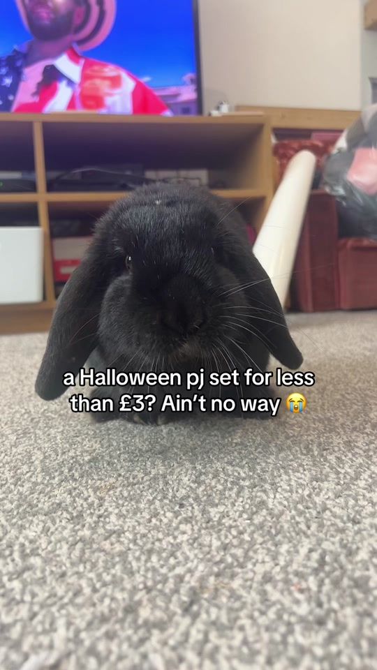 TikTok video thumbnail by aaevie