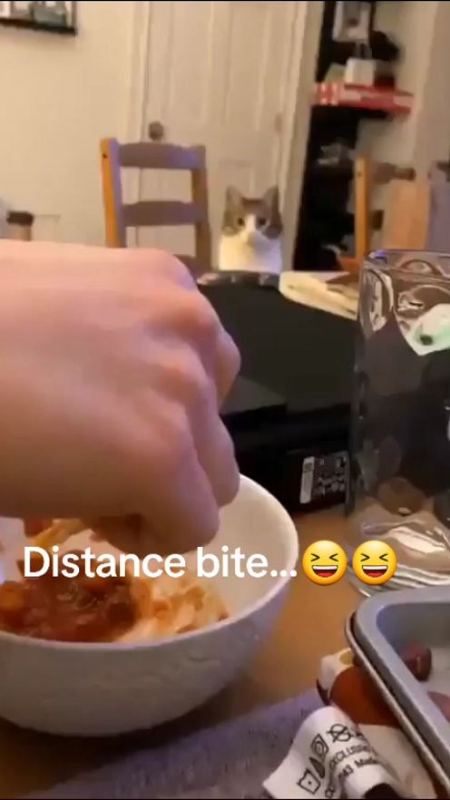 TikTok video thumbnail by didi21sammy14