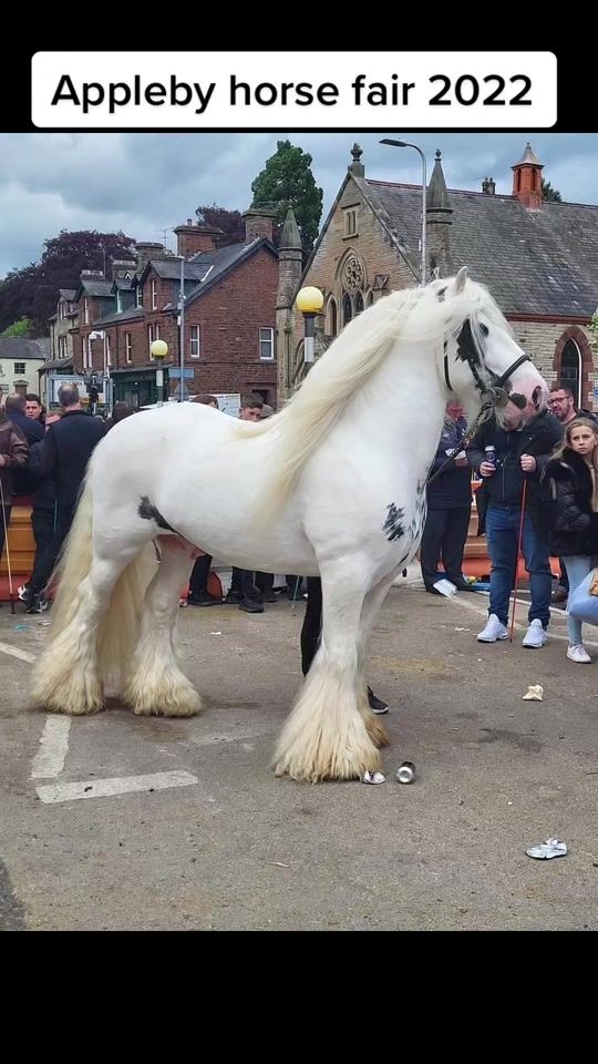 TikTok video thumbnail by mariajw018