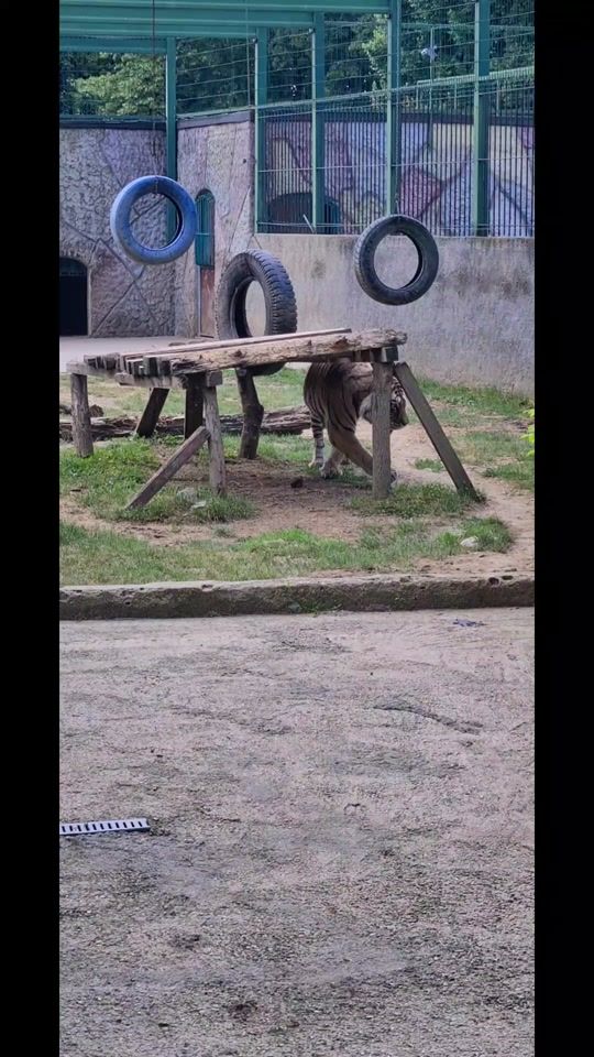 TikTok video thumbnail by nicollecristina87