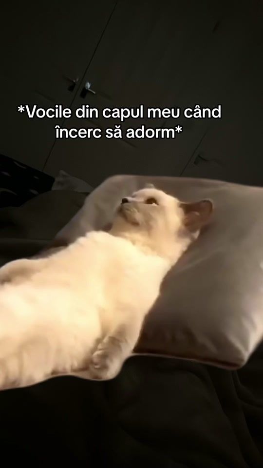 TikTok video thumbnail by jeaninaaa1