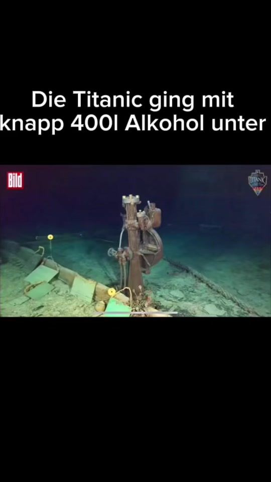 TikTok video thumbnail by dchwarzerhumor.hub