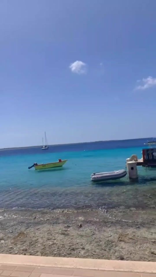 TikTok video thumbnail by evafrias1