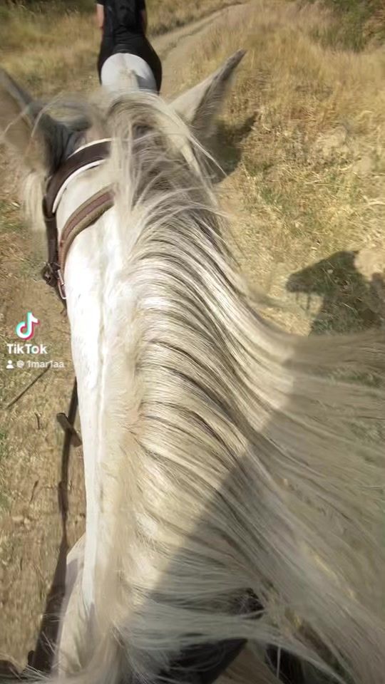 TikTok video thumbnail by mariag.eq