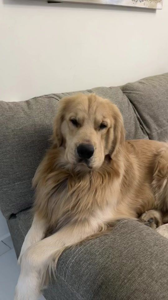 TikTok video thumbnail by luisreyesg9