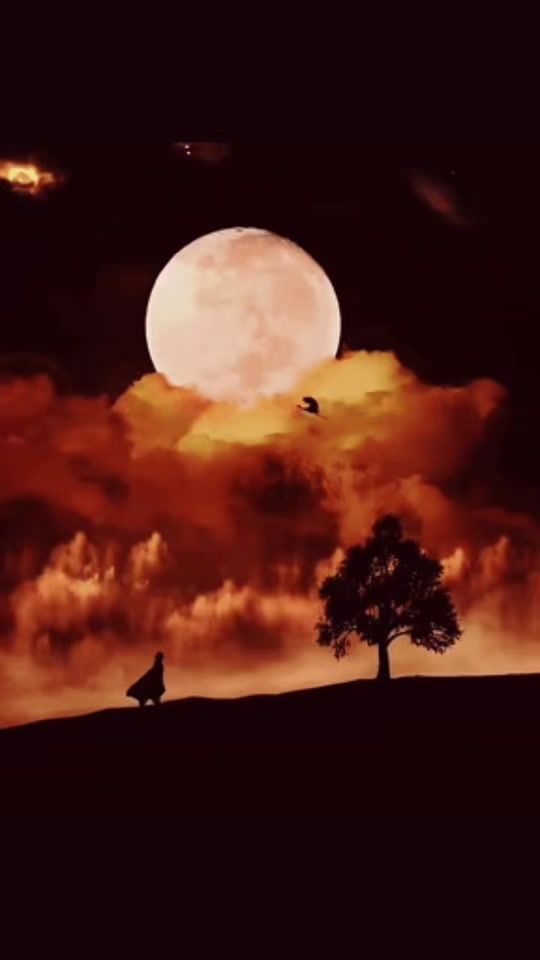 TikTok video thumbnail by eldji337