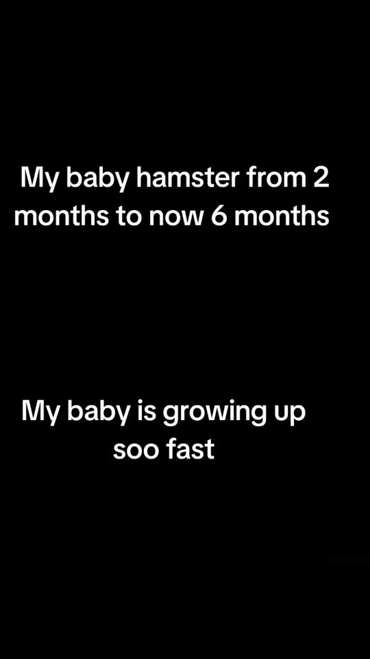 TikTok video thumbnail by jennifer.gough16