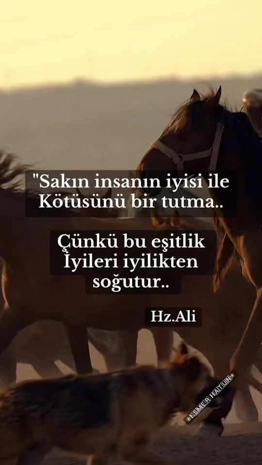 TikTok video thumbnail by esmer_hatun_1453