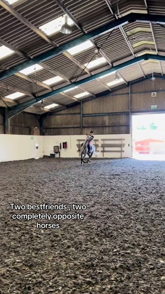 TikTok video thumbnail by tatii_showjumping