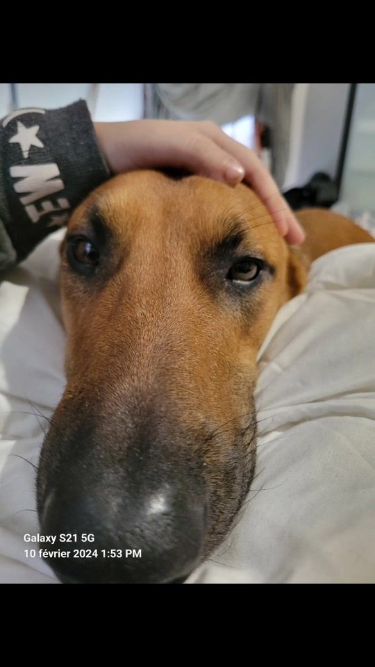 TikTok video thumbnail by angie111901