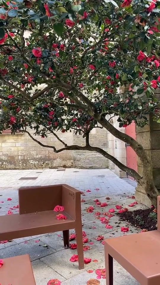 TikTok video thumbnail by fly_over_the_rainbow_