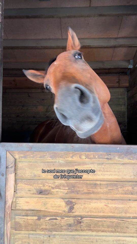 TikTok video thumbnail by asia_fo