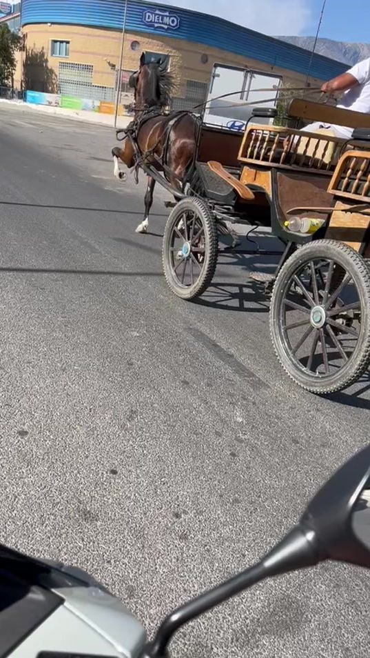 TikTok video thumbnail by mateofernandez1371