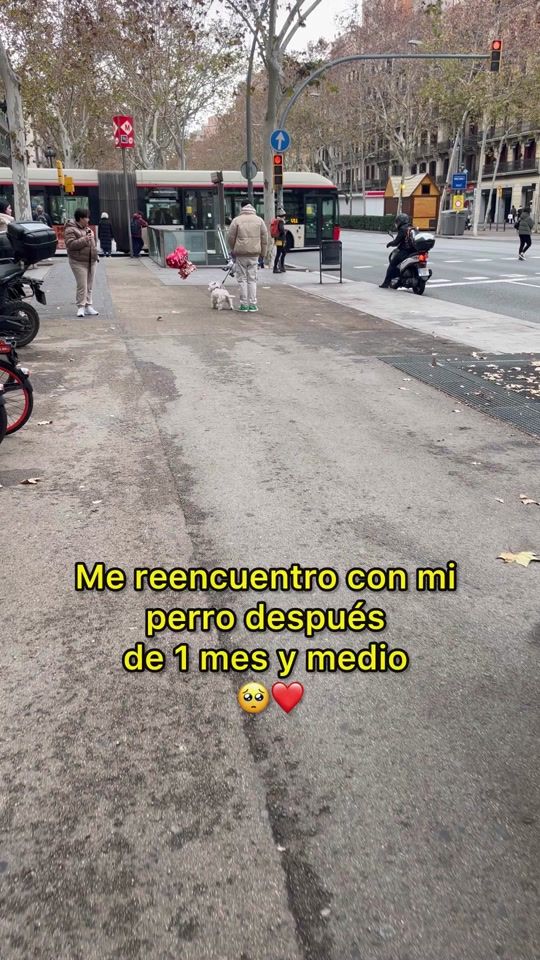 TikTok video thumbnail by manualerod