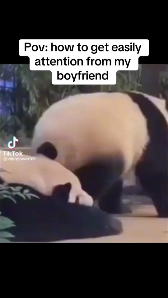 TikTok video thumbnail by insanememecouples
