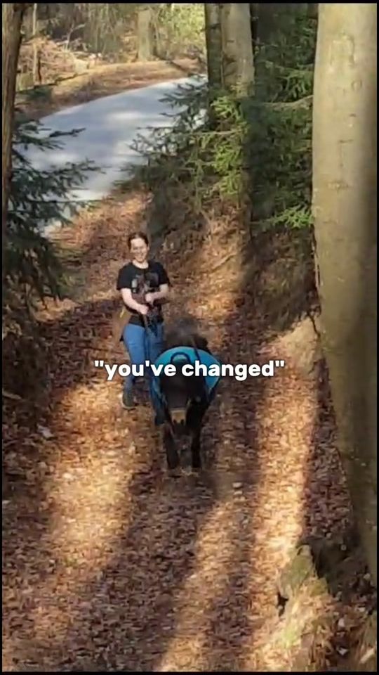 TikTok video thumbnail by ginger.with.pfoert