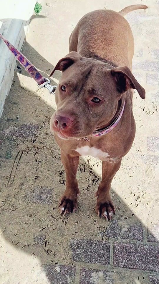 TikTok video thumbnail by miguel19802000