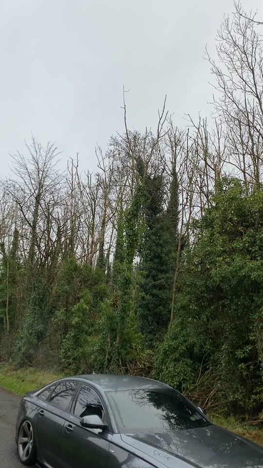 TikTok video thumbnail by adammcnulty43