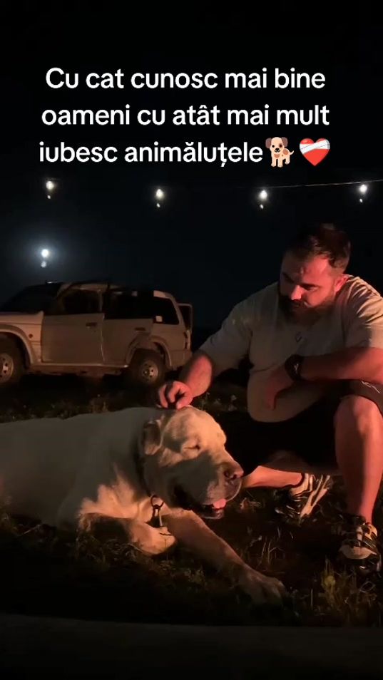 TikTok video thumbnail by sergiuhrincu