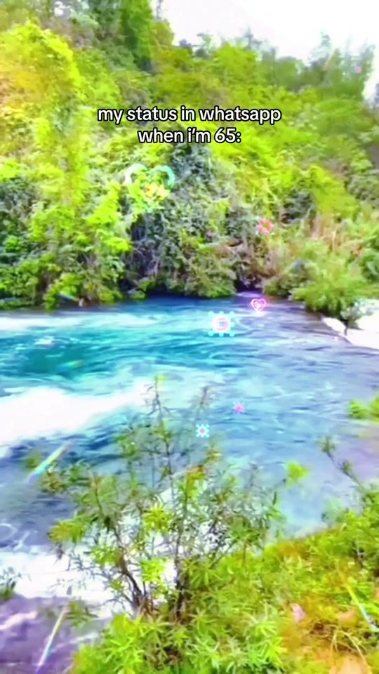 TikTok video thumbnail by jxse.nf