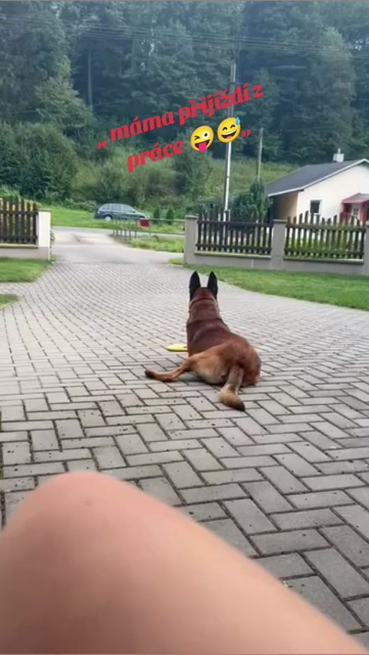 TikTok video thumbnail by petulka_dak1