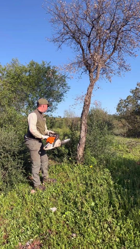 TikTok video thumbnail by frannpl2