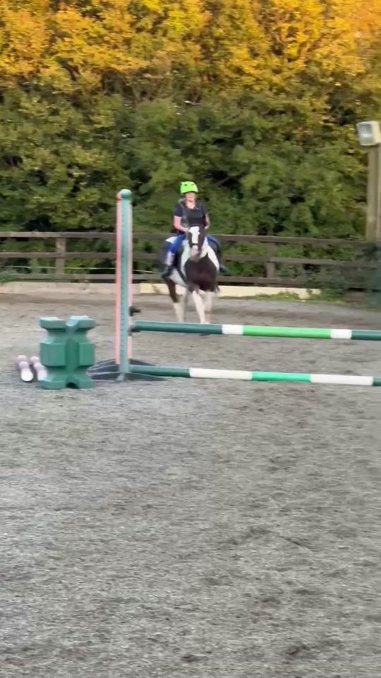TikTok video thumbnail by penny.eq11