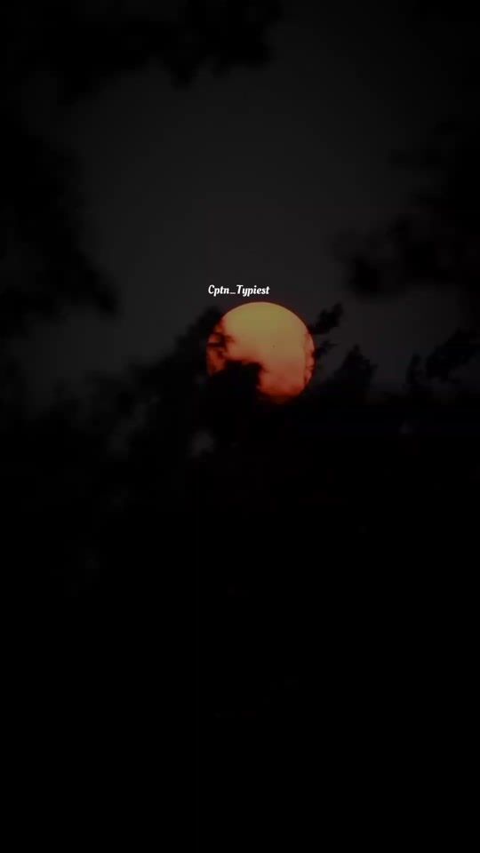 TikTok video thumbnail by sami_typiest_official