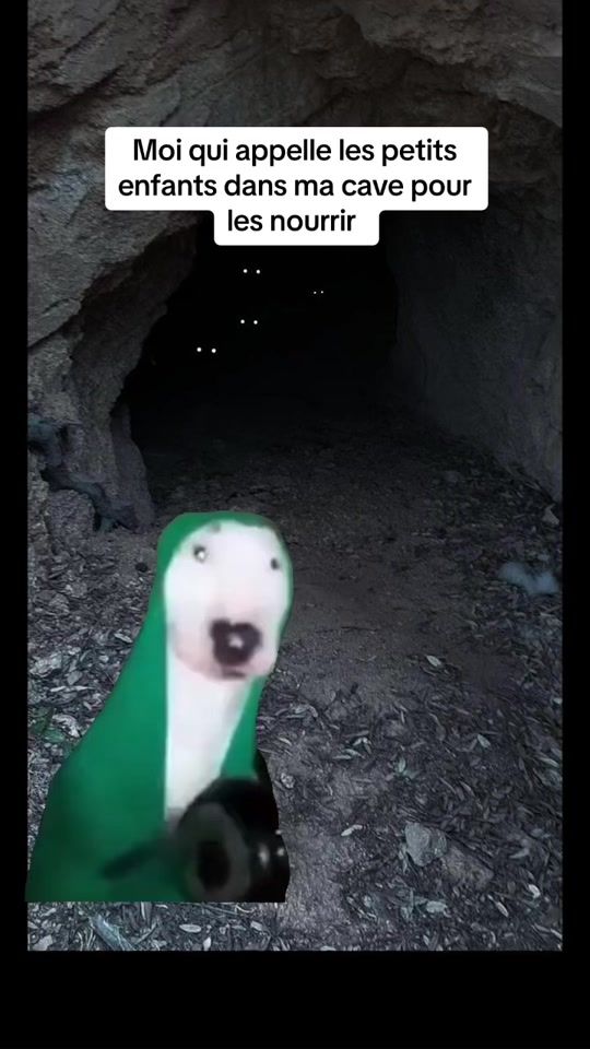 TikTok video thumbnail by levoyageurtoutsimplement