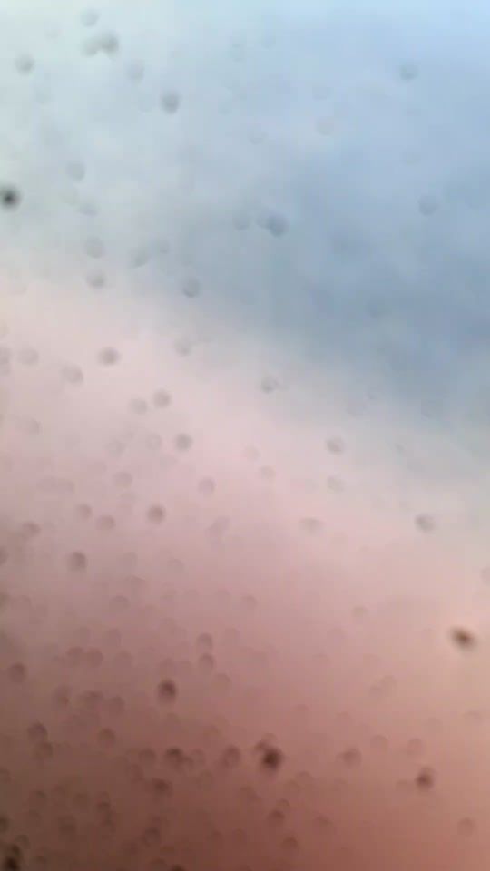 TikTok video thumbnail by joseparlita33
