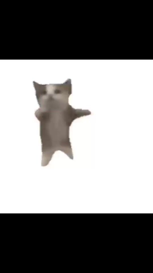 TikTok video thumbnail by thatduck_0