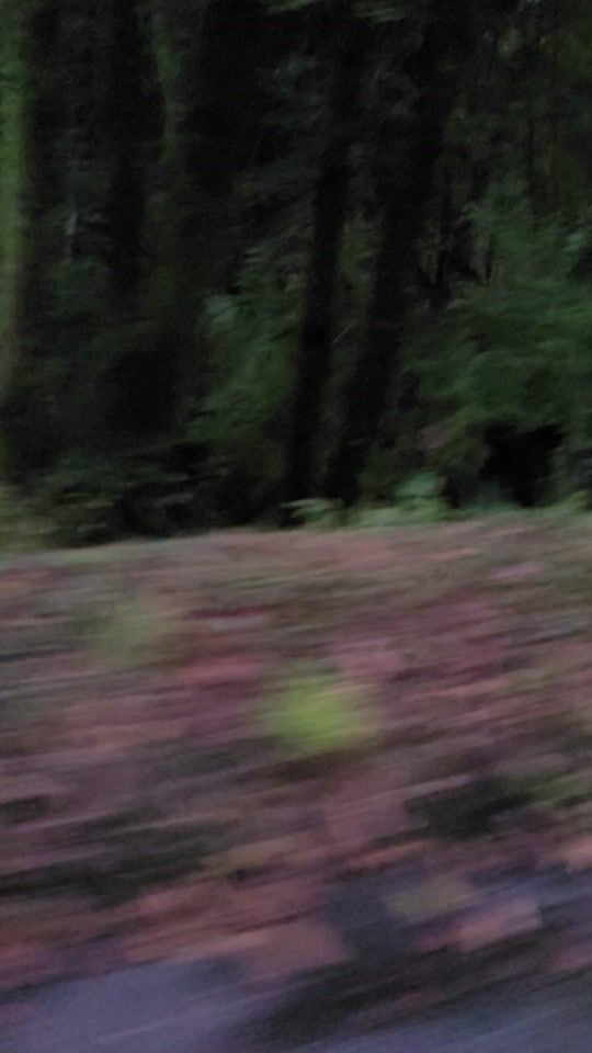 TikTok video thumbnail by aurelien1905