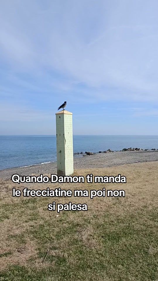 TikTok video thumbnail by cesca2413