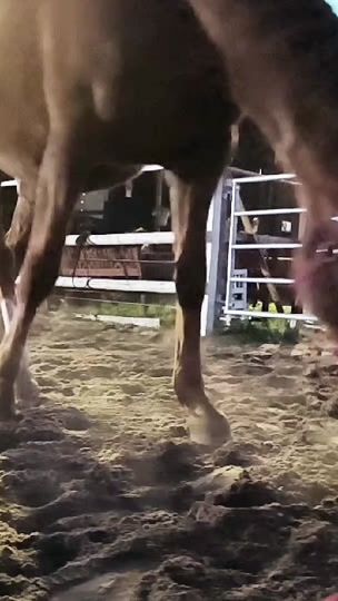 TikTok video thumbnail by heisukecielo