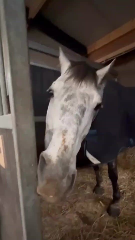 TikTok video thumbnail by kacperooo__