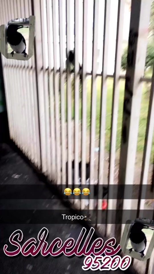 TikTok video thumbnail by sarcelles9520095