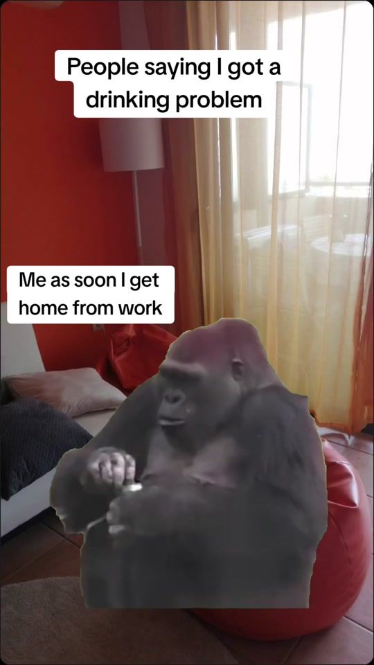 TikTok video thumbnail by flipperdip