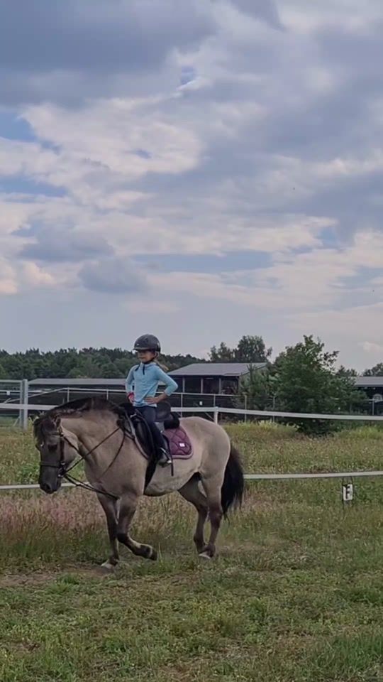 TikTok video thumbnail by annesponyhof
