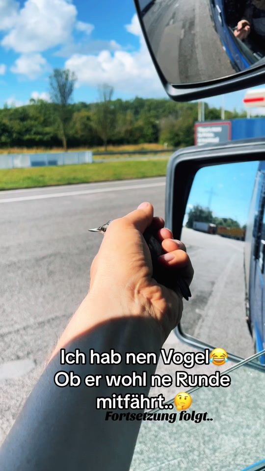 TikTok video thumbnail by einfachdenni