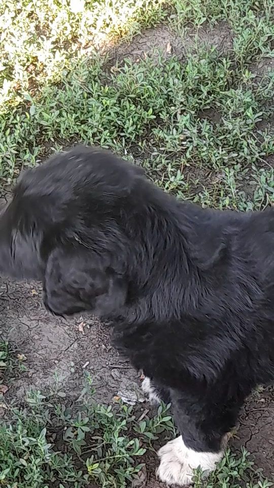 TikTok video thumbnail by cristicristyan7