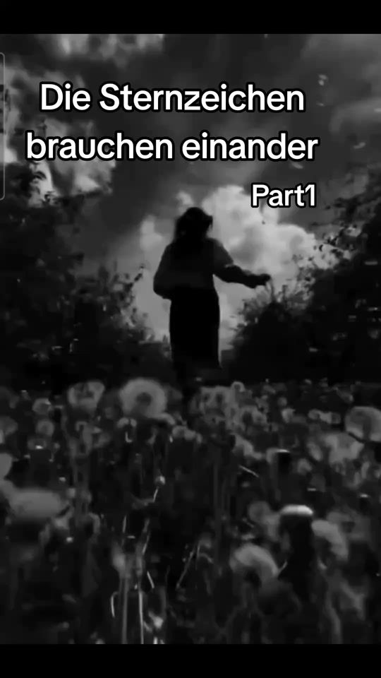 TikTok video thumbnail by sternzeichen_156