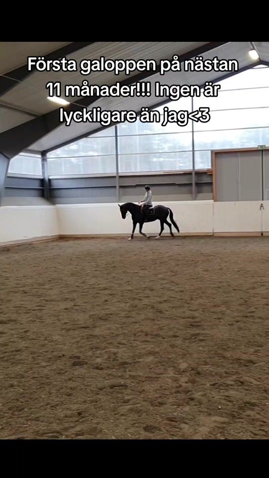 TikTok video thumbnail by equi.linnea0