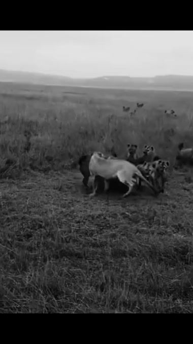 TikTok video thumbnail by 0.5slavik