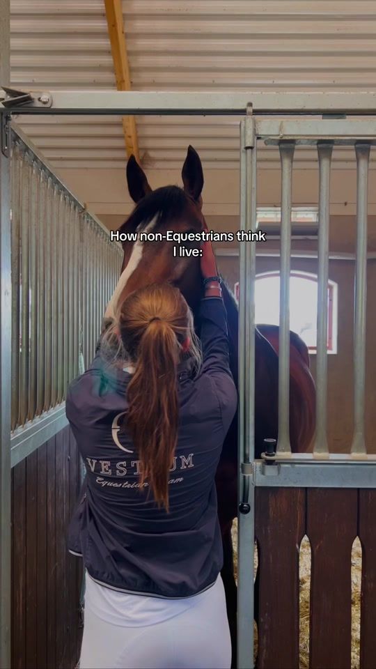 TikTok video thumbnail by liviajohnsons