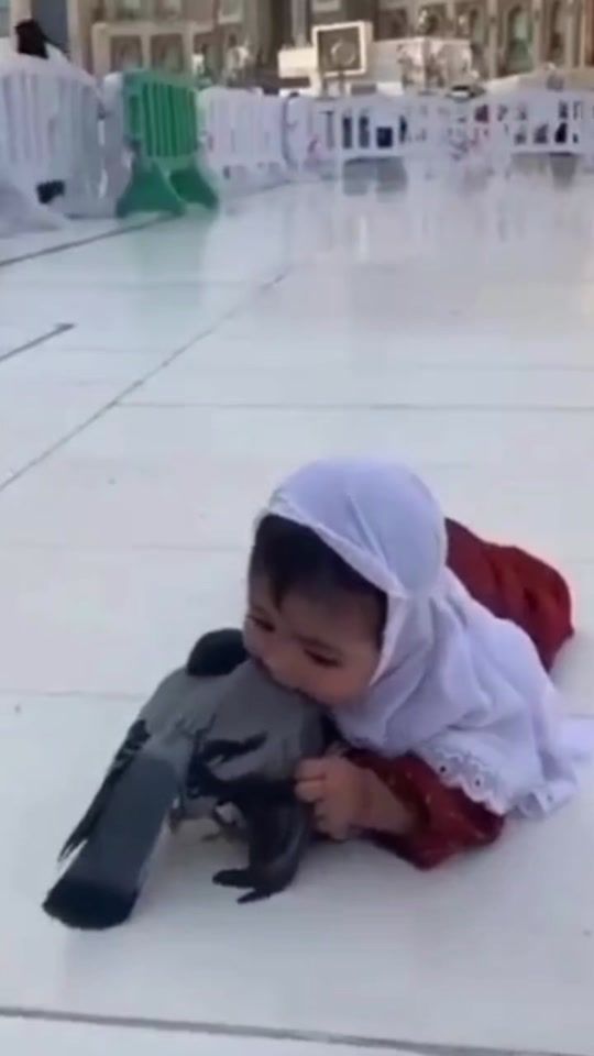 TikTok video thumbnail by mohamed.dz955