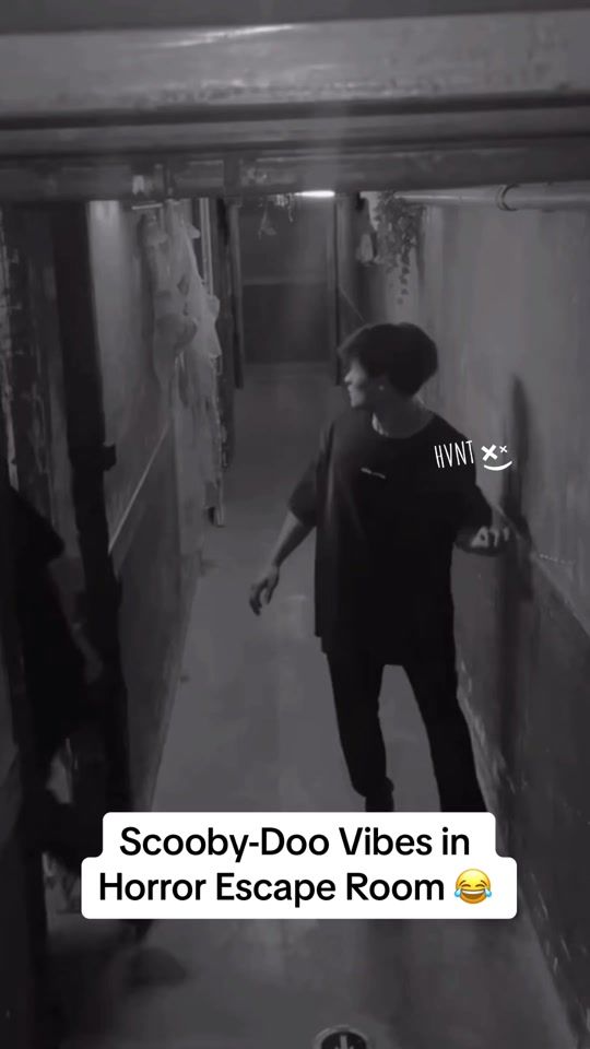 TikTok video thumbnail by stefanb.hvnt