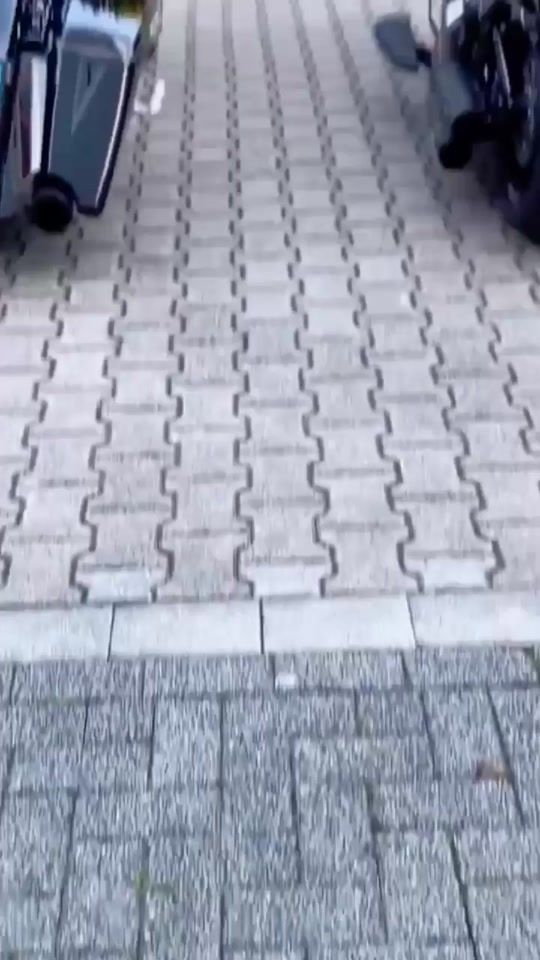 TikTok video thumbnail by harleydavidsonfans