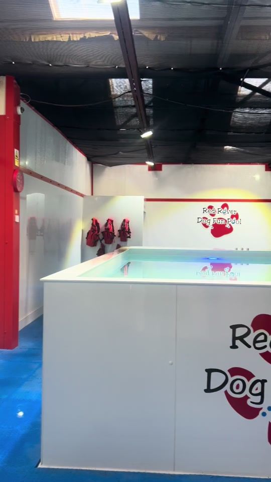 TikTok video thumbnail by vickyfox2