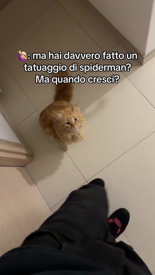 TikTok video thumbnail by monywzn